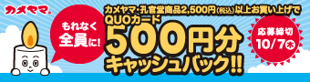 500円キャッシュバックキャンペーン