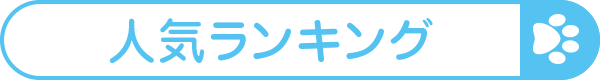 人気ランキング