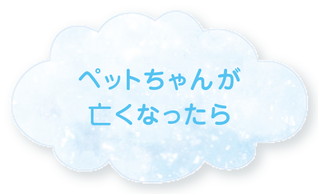 ペットちゃんがなくなったら