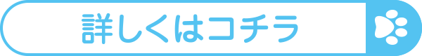 詳しくはコチラ
