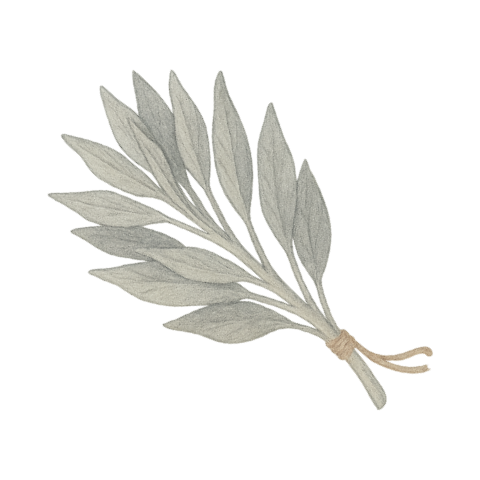 ホワイトセージ